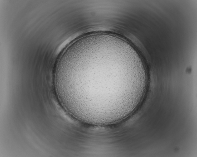 X0000114170834200910221649