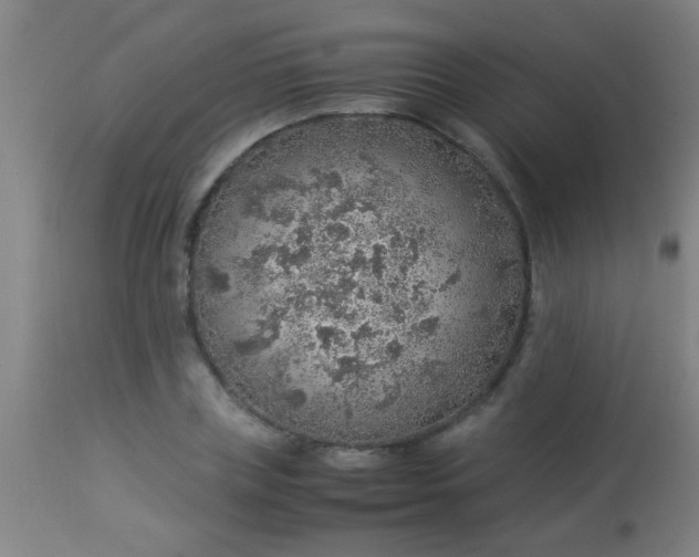 X0000114170835200910221649