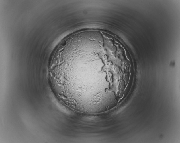 X0000114170837200910221649