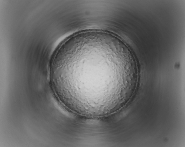 X0000114170838200910221649