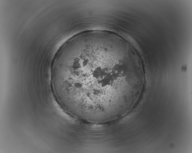 X0000114170839200910221649