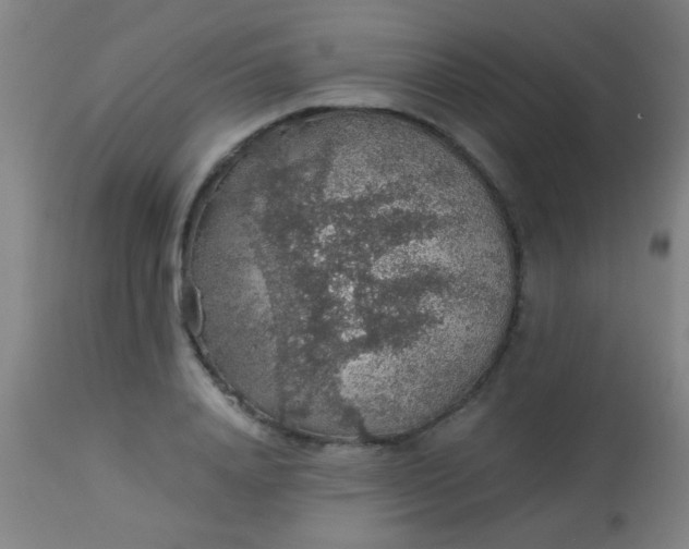 X0000114170840200910221649