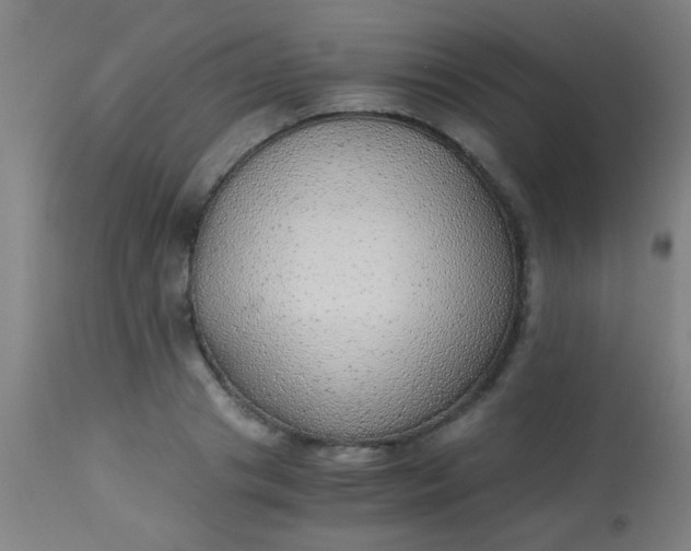 X0000114170841200910221649