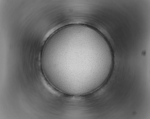 X0000114170842200910221649