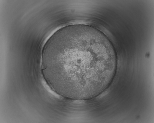 X0000114170844200910221649