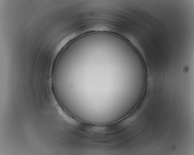 X0000114170845200910221649