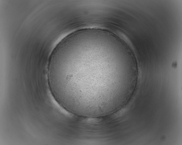 X0000114170847200910221649