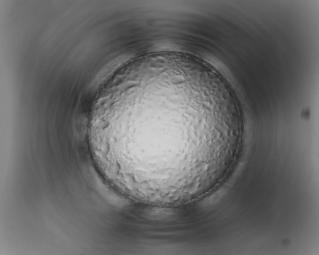 X0000114170849200910221649