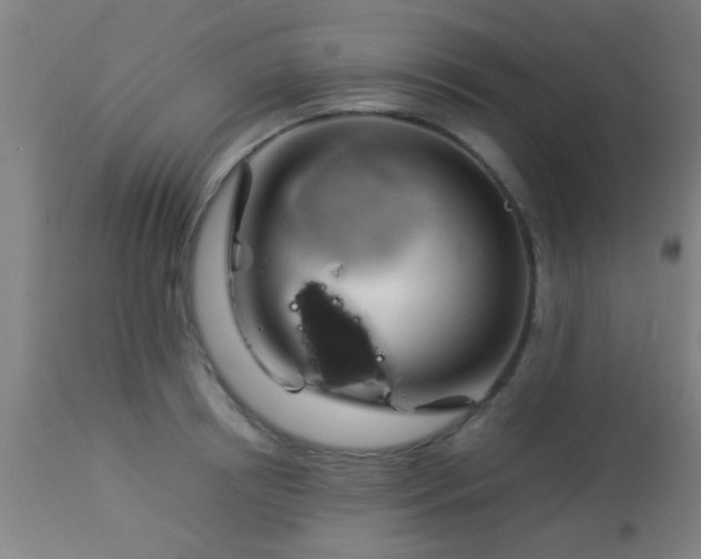 X0000114170850200910221649