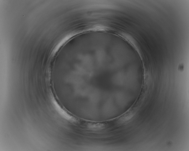 X0000114170851200910221649