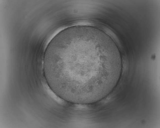 X0000114170852200910221649