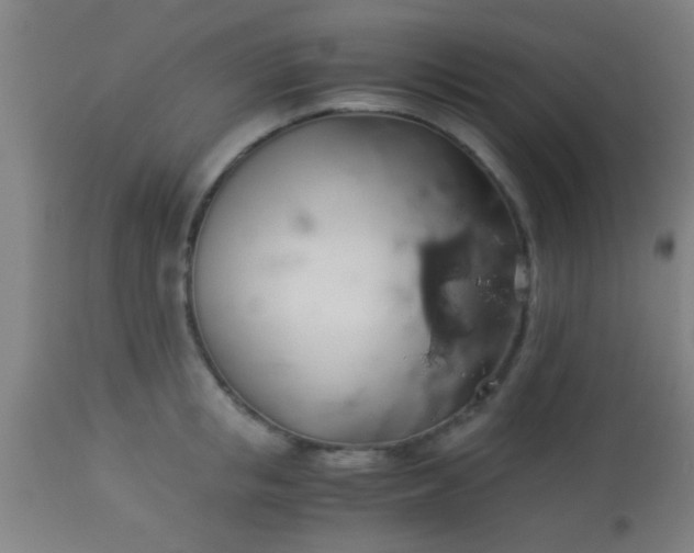 X0000114170853200910221649