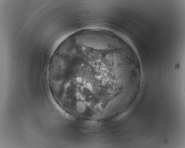 X0000114170855200910221649