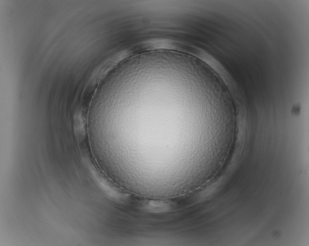 X0000114170857200910221649