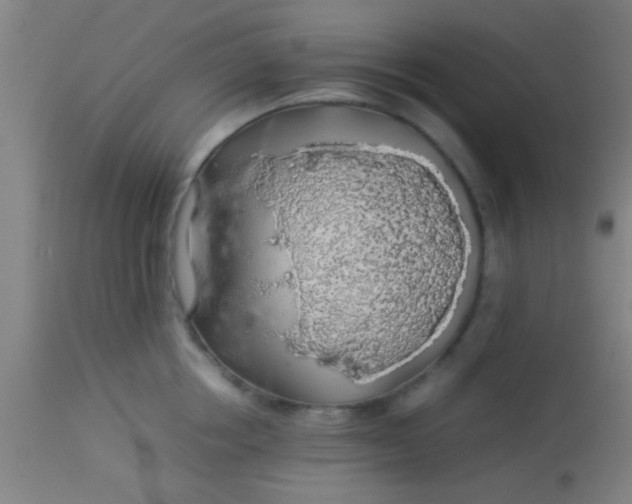 X0000114170858200910221649