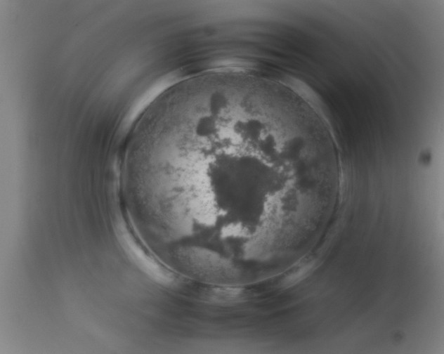 X0000114170859200910221649