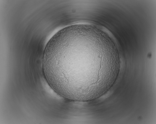 X0000114170860200910221649