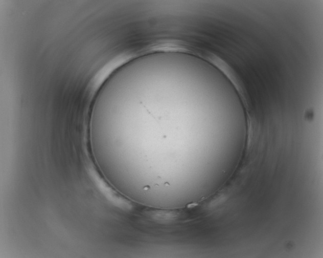 X0000114170861200910221649