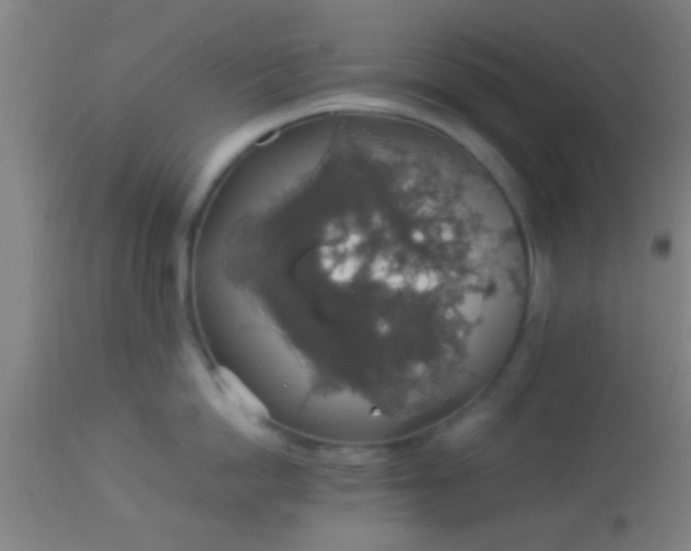 X0000114170862200910221649