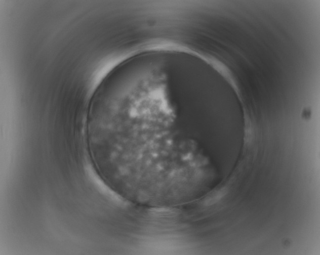 X0000114170863200910221649