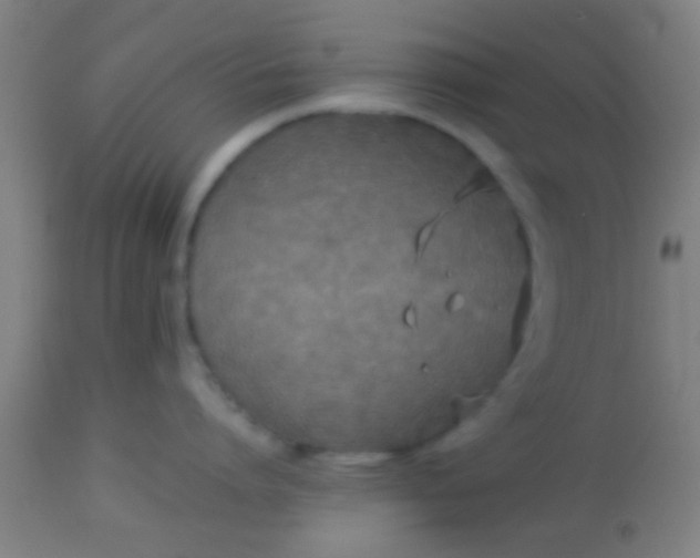 X0000114170864200910221649