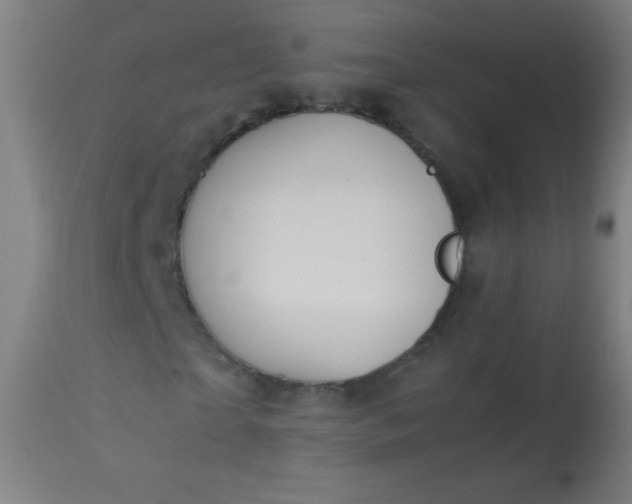 X0000114170865200910221648