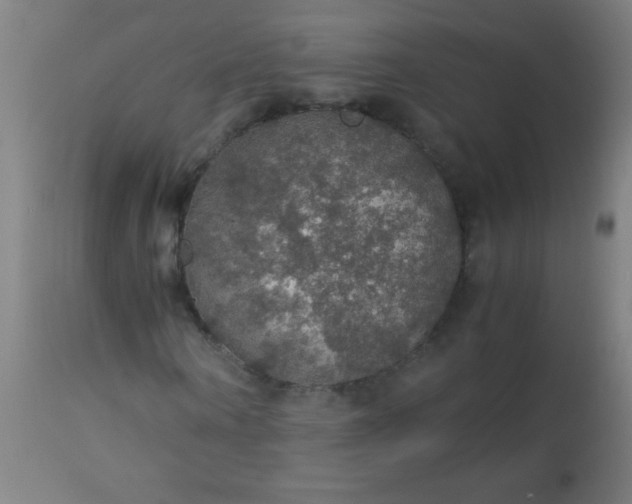 X0000114170866200910221648