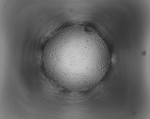 X0000114170867200910221648