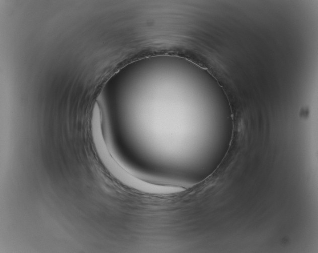 X0000114170868200910221648