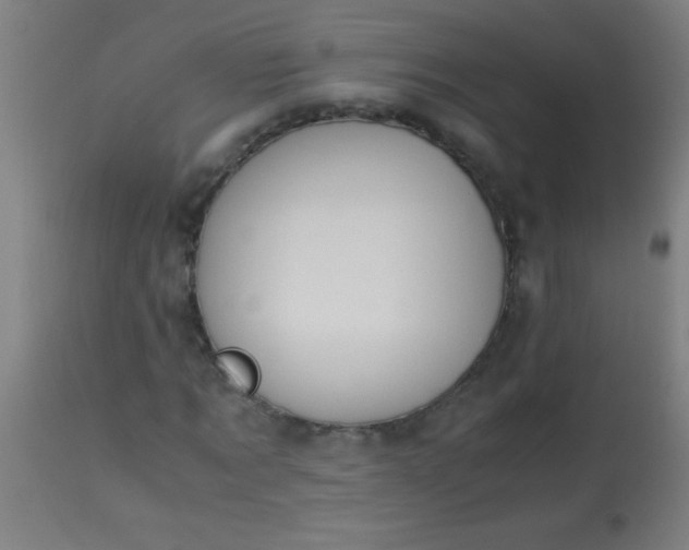 X0000114170869200910221648