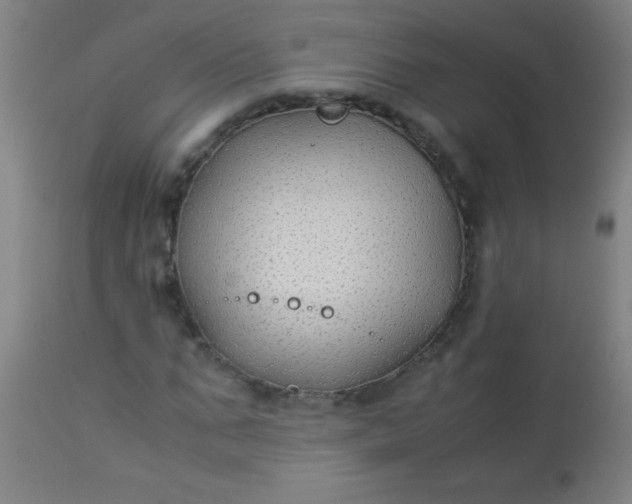 X0000114170871200910221648