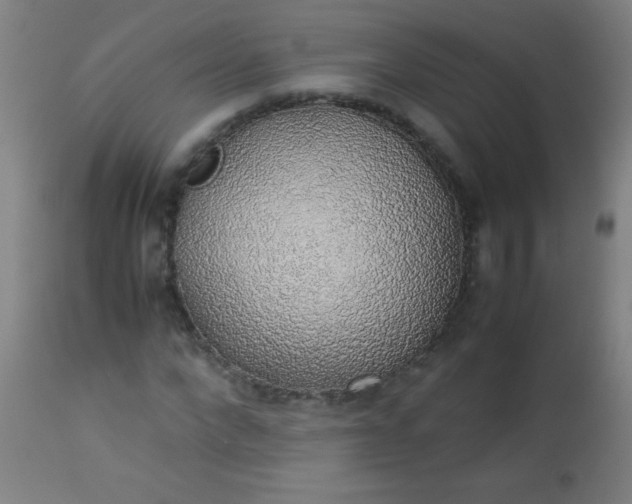 X0000114170872200910221648