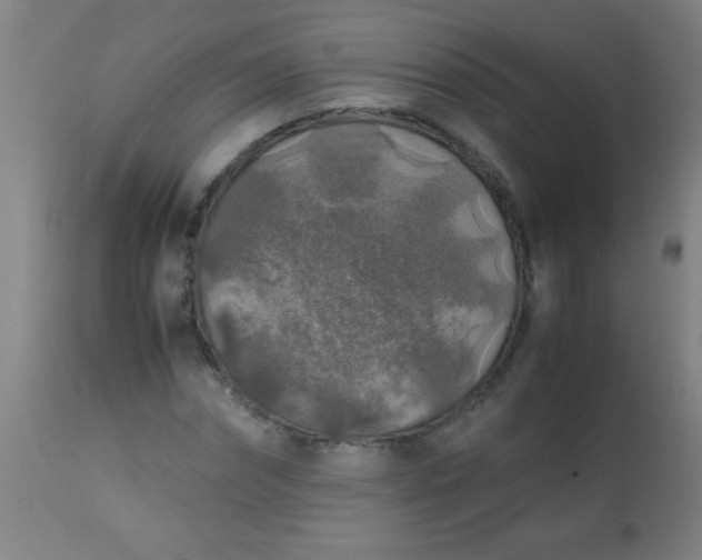 X0000114170874200910221648