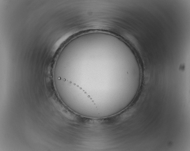 X0000114170875200910221648