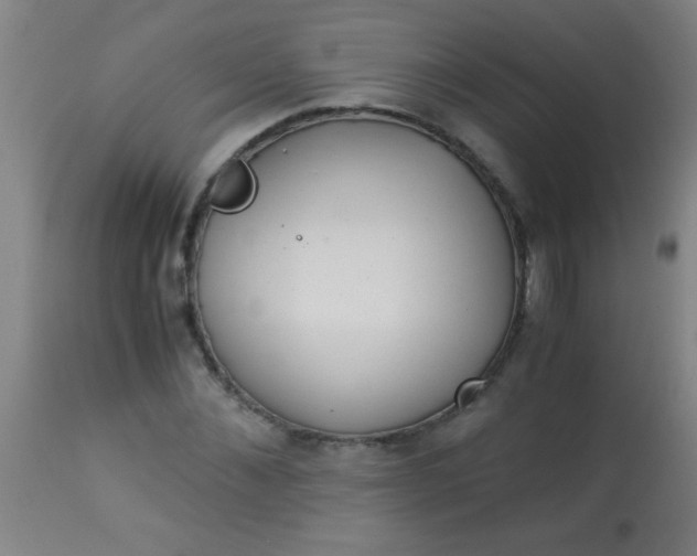 X0000114170876200910221648