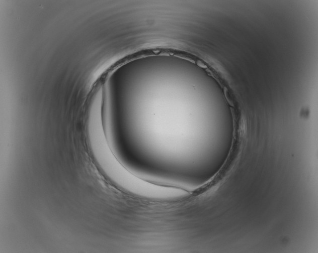 X0000114170877200910221648