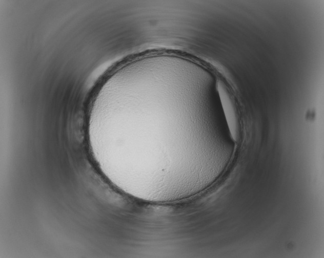 X0000114170878200910221648