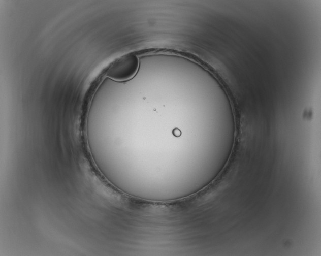 X0000114170880200910221648