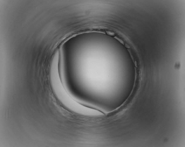 X0000114170881200910221648