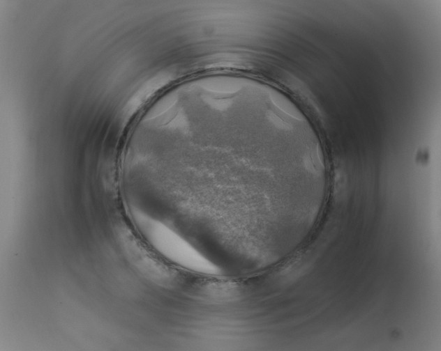 X0000114170882200910221648