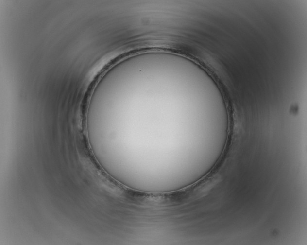 X0000114170883200910221648