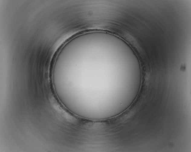 X0000114170884200910221648