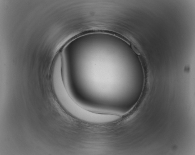 X0000114170885200910221648