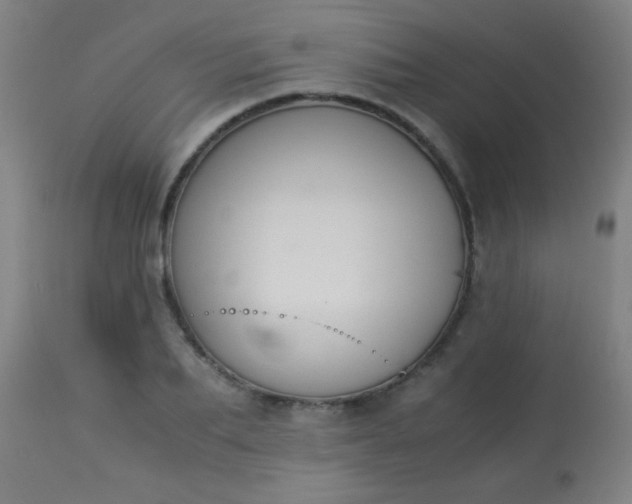 X0000114170887200910221648