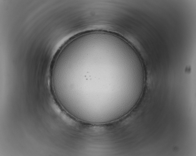 X0000114170888200910221648