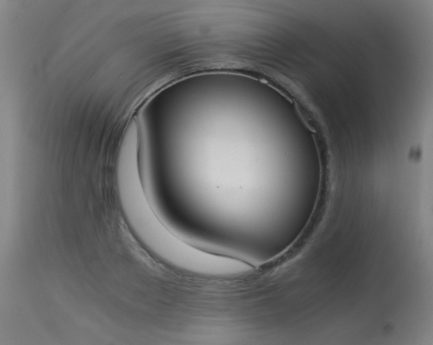 X0000114170889200910221648