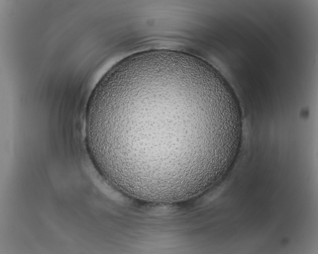 X0000114170891200910221648