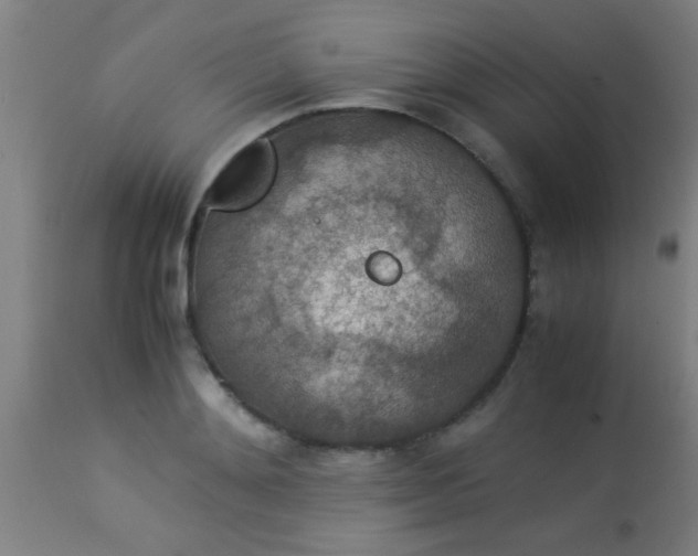 X0000114170892200910221648