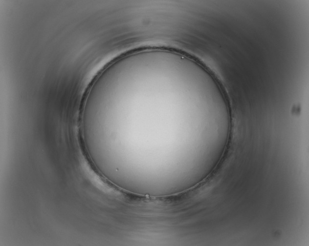 X0000114170895200910221648