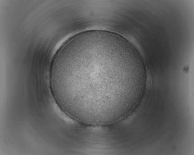 X0000114170896200910221648